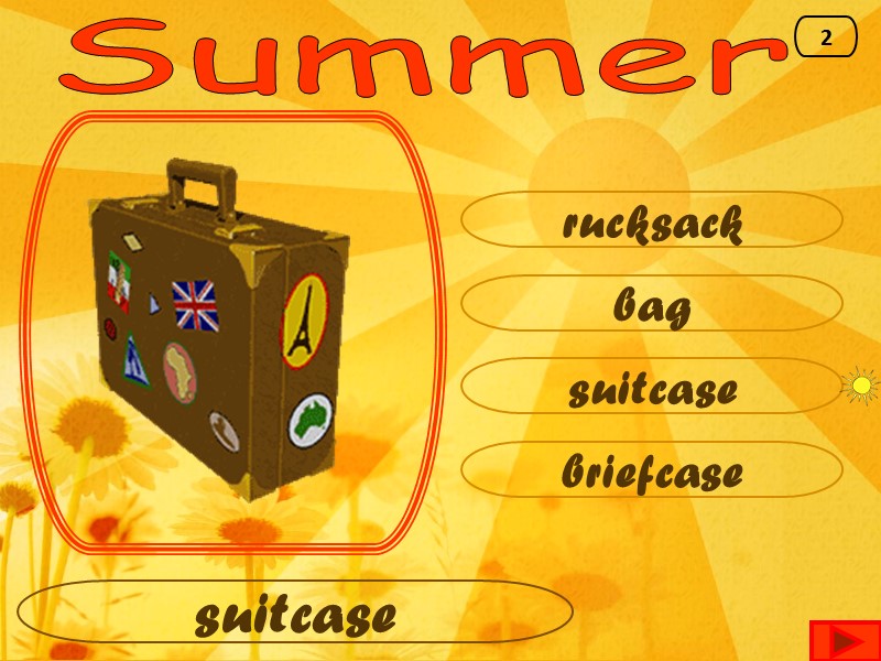 Summer suitcase bag rucksack briefcase suitcase 2